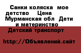 Санки-коляска “мое детство“ › Цена ­ 3 200 - Мурманская обл. Дети и материнство » Детский транспорт   